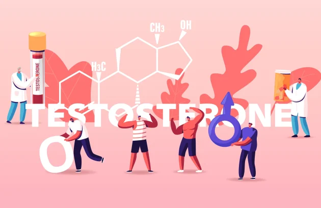 testosterone hormone level concept infographic vector