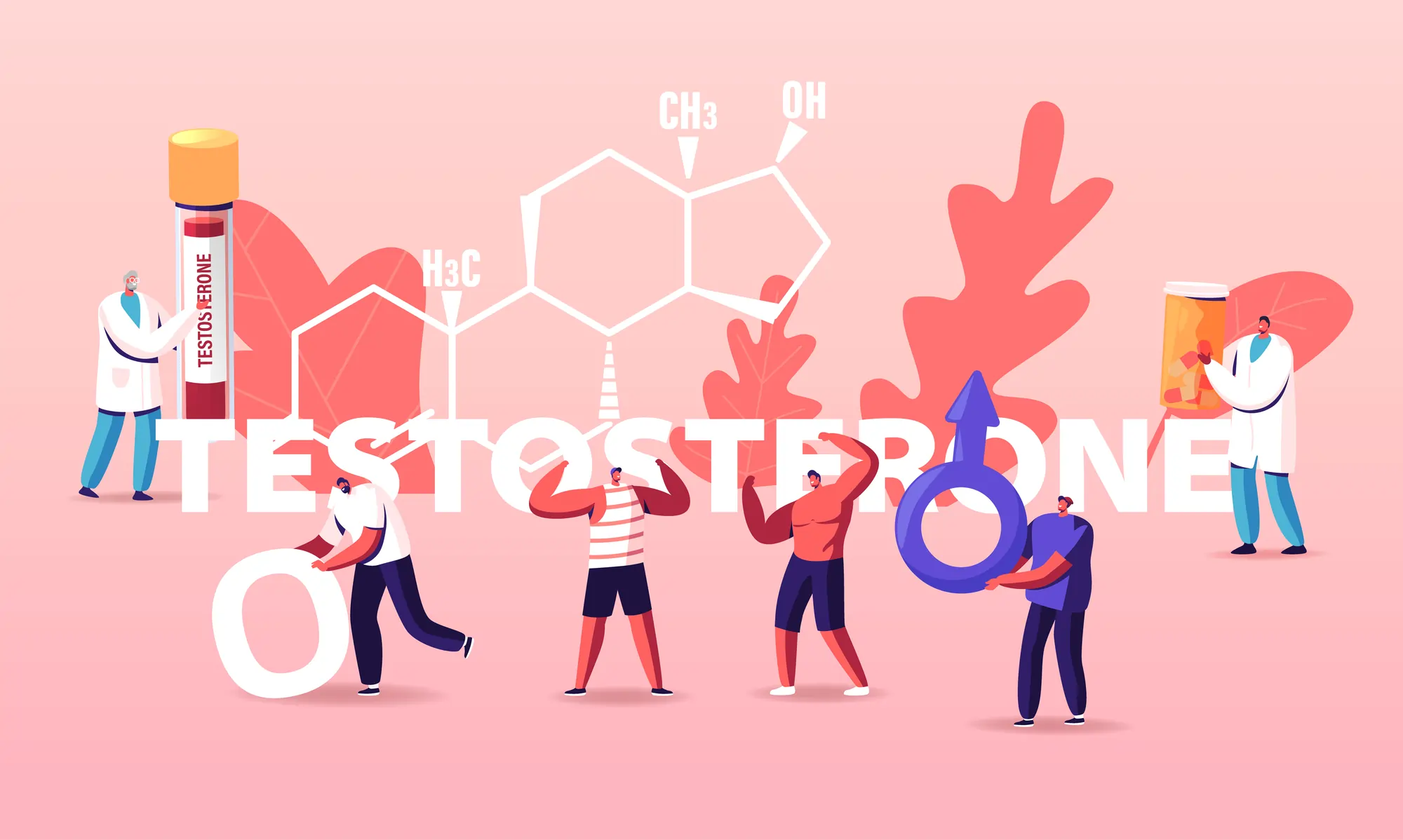 testosterone hormone level concept infographic vector